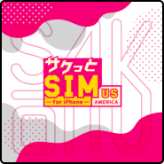 アメリカSIM